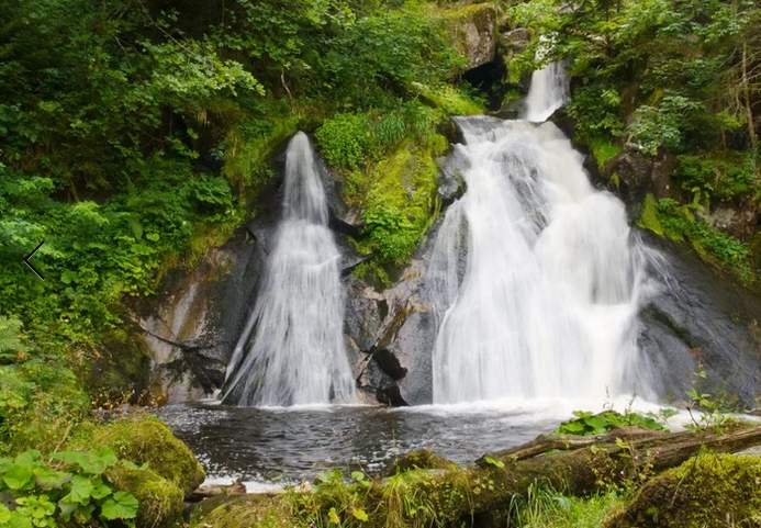 2° giorno: Foresta Nera / Cascate di Triberg e Orologio a cucù